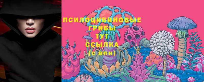 Галлюциногенные грибы Cubensis Касимов